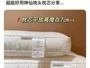 枕芯（枕芯的标准尺寸是多少）