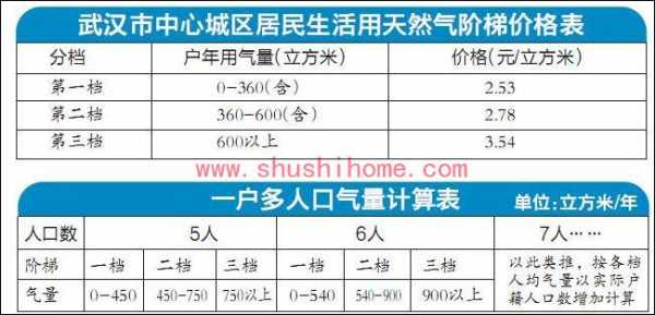 武汉天然气价格（武汉天然气价格最新价格2023）