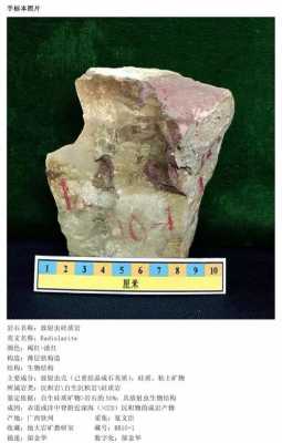 硅质岩（硅质岩图例）